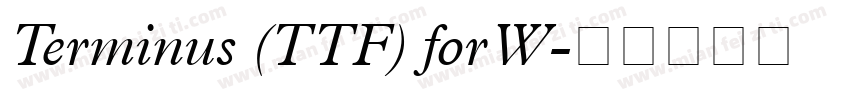 Terminus (TTF) for W字体转换